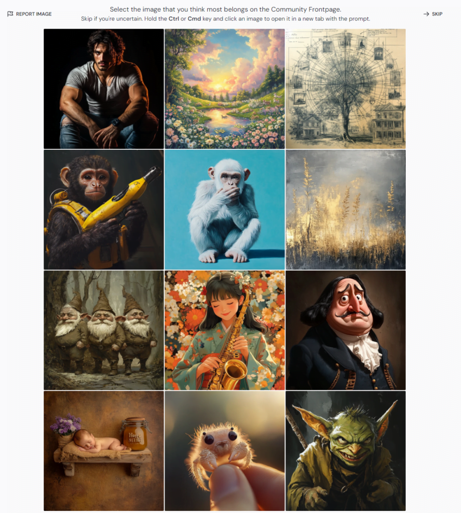 Sreenshot Afbeeldingen rangschikken (Image Rankings)